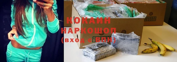 ПСИЛОЦИБИНОВЫЕ ГРИБЫ Баксан