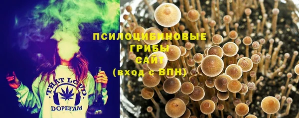 ПСИЛОЦИБИНОВЫЕ ГРИБЫ Баксан