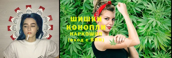 ПСИЛОЦИБИНОВЫЕ ГРИБЫ Баксан