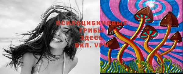 ПСИЛОЦИБИНОВЫЕ ГРИБЫ Баксан