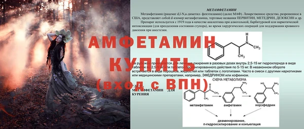ПСИЛОЦИБИНОВЫЕ ГРИБЫ Баксан