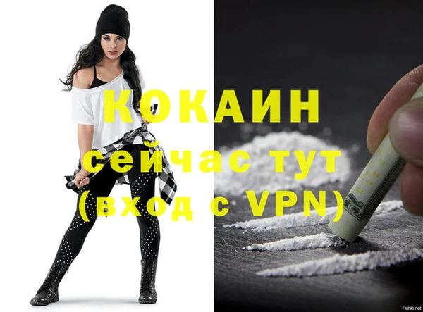 стаф Балахна