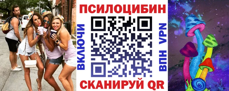 цены   Калининец  Галлюциногенные грибы Psilocybine cubensis 